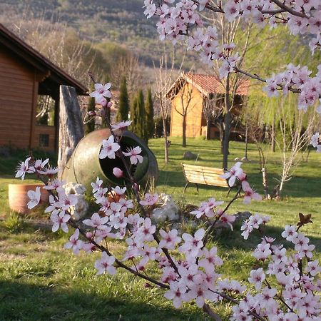 Apartamentos Rurales El Rincon Del Jerte Rebollar  Εξωτερικό φωτογραφία