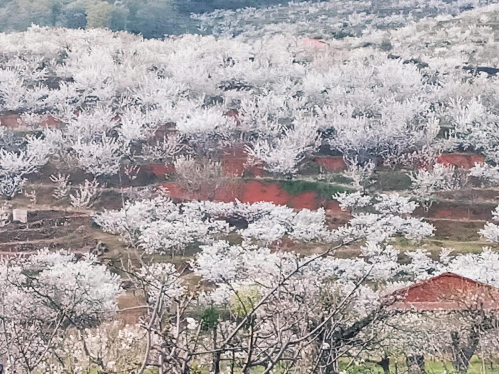 Apartamentos Rurales El Rincon Del Jerte Rebollar  Εξωτερικό φωτογραφία